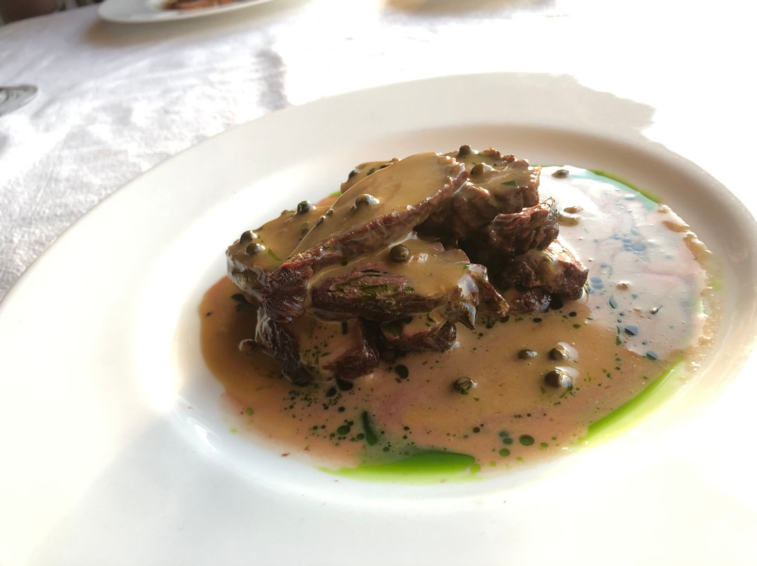 Spruce At Newhall Mains