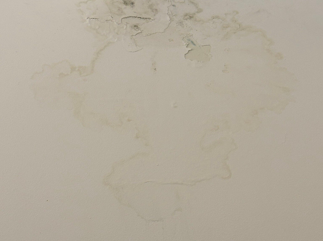 Hotel Maison Carrée主图