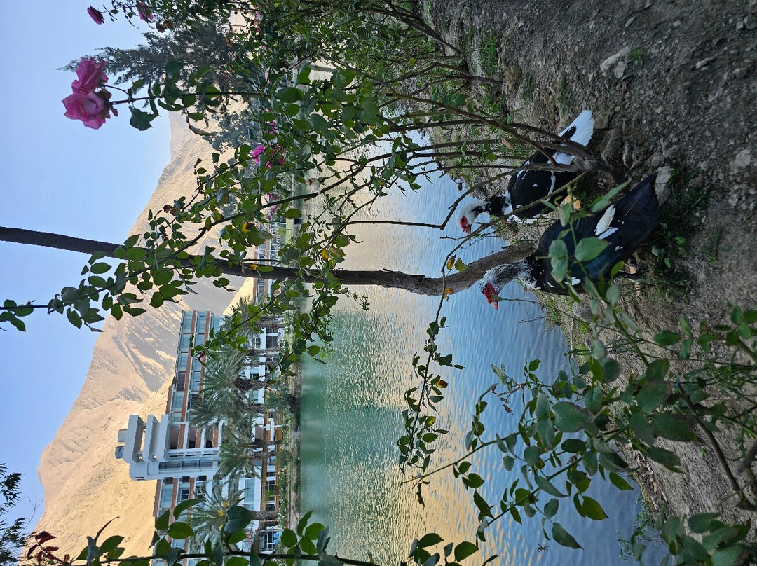 Guizado Portillo Hacienda & Resort主图