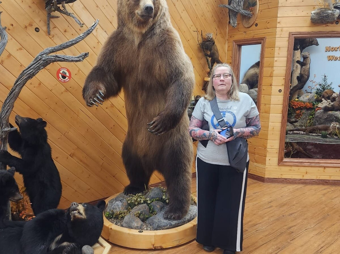 Nature's North Wildlife Gallery-黄刀镇必去景点