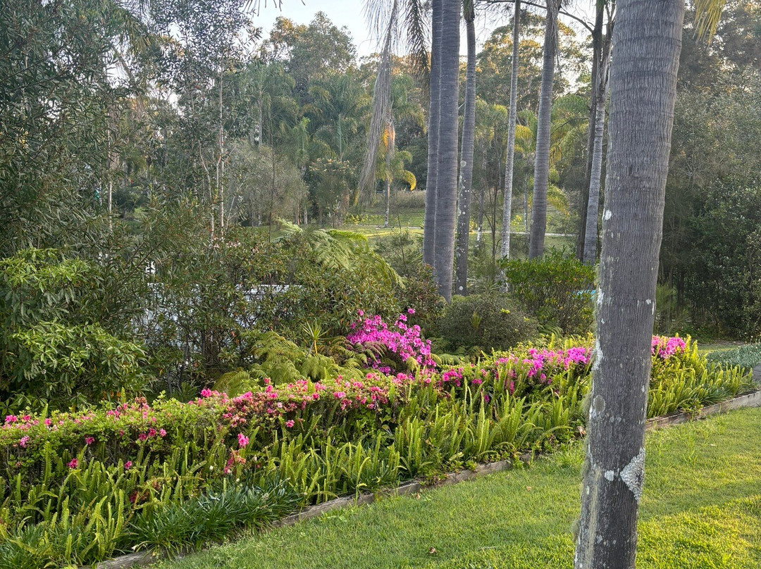 The Cubana Resort Nambucca Heads主图