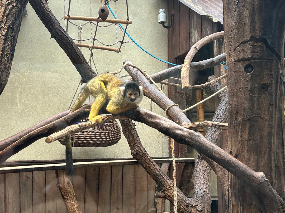 Tierpark Bern-伯尔尼必去景点