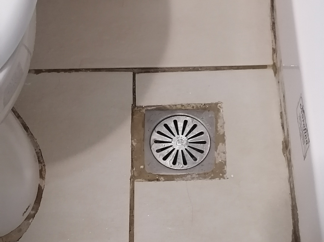 Dimitra Studios主图