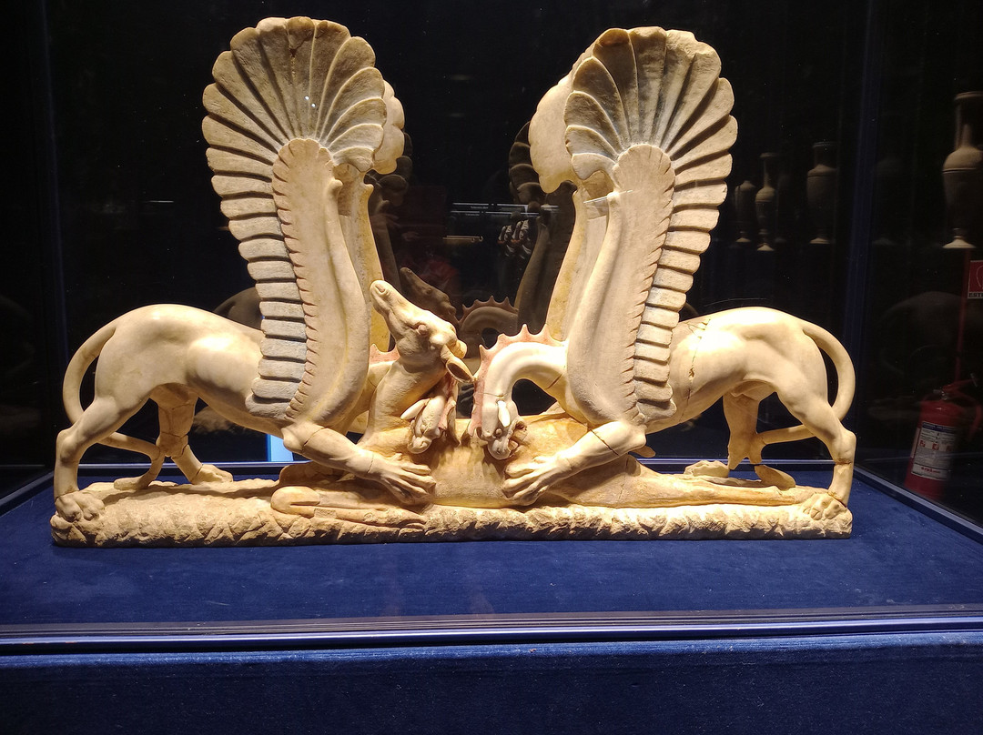 Museo Diocesano景点图片