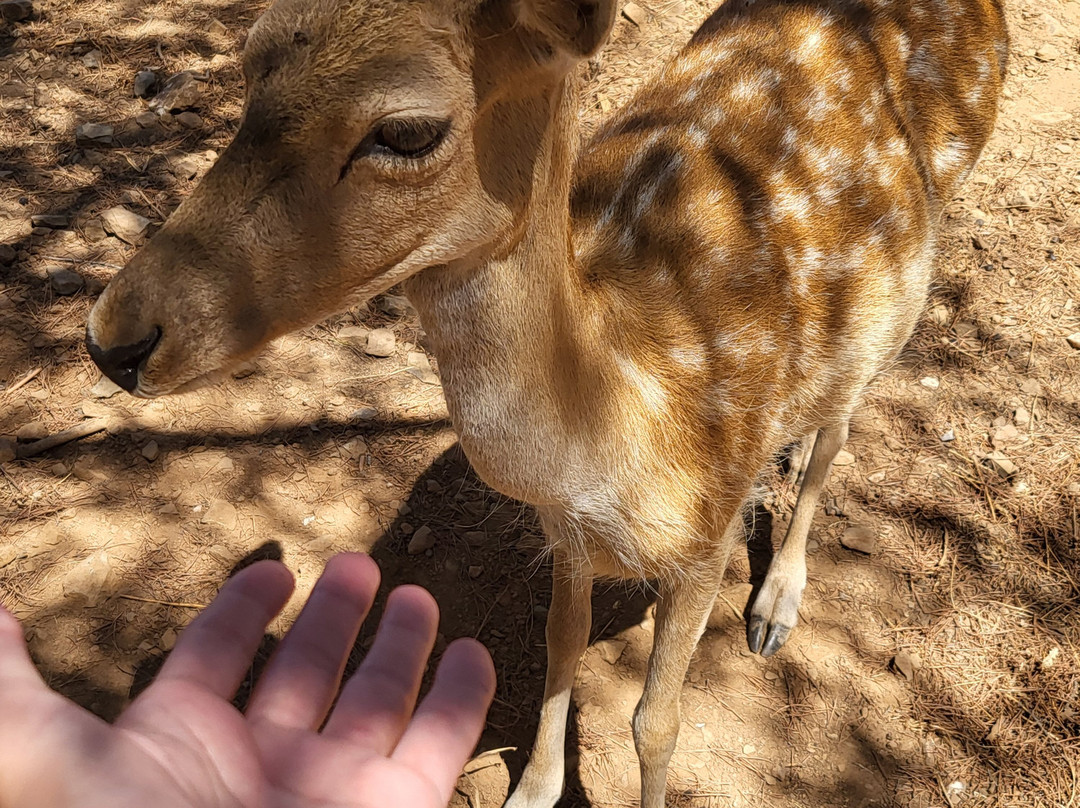 Parque Mata Da Conceicao-null必去景点