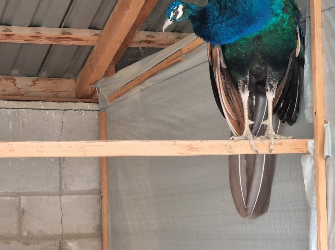 ZooClub-Bardar必去景点