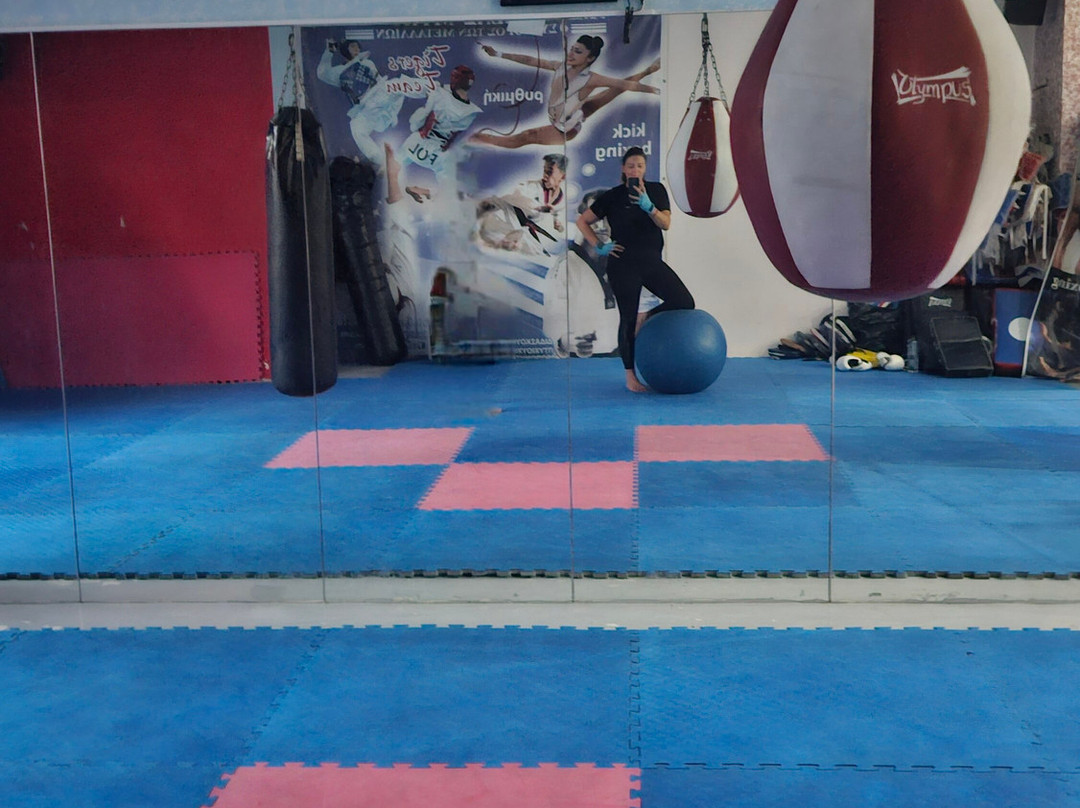 Mykonos Gym