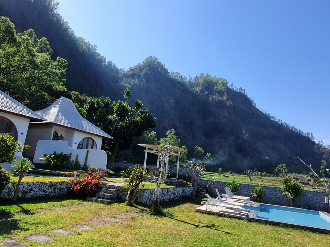 Host @ Volcano主图