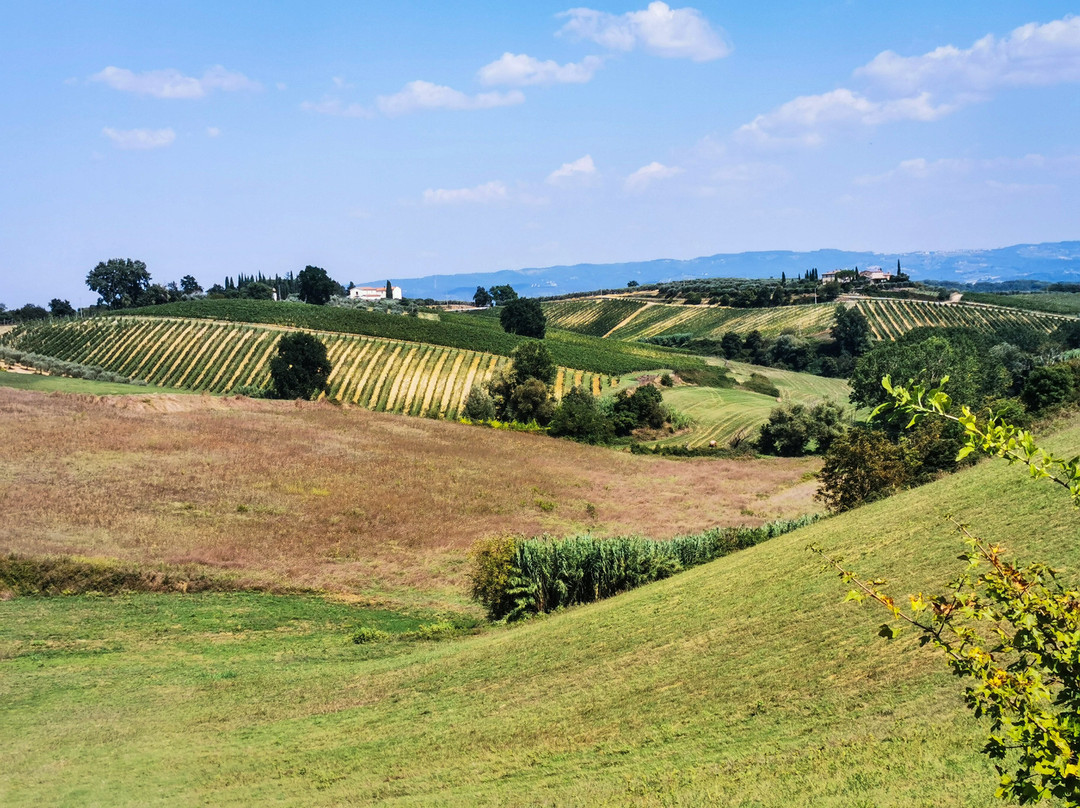 Agriturismo Nerbona主图