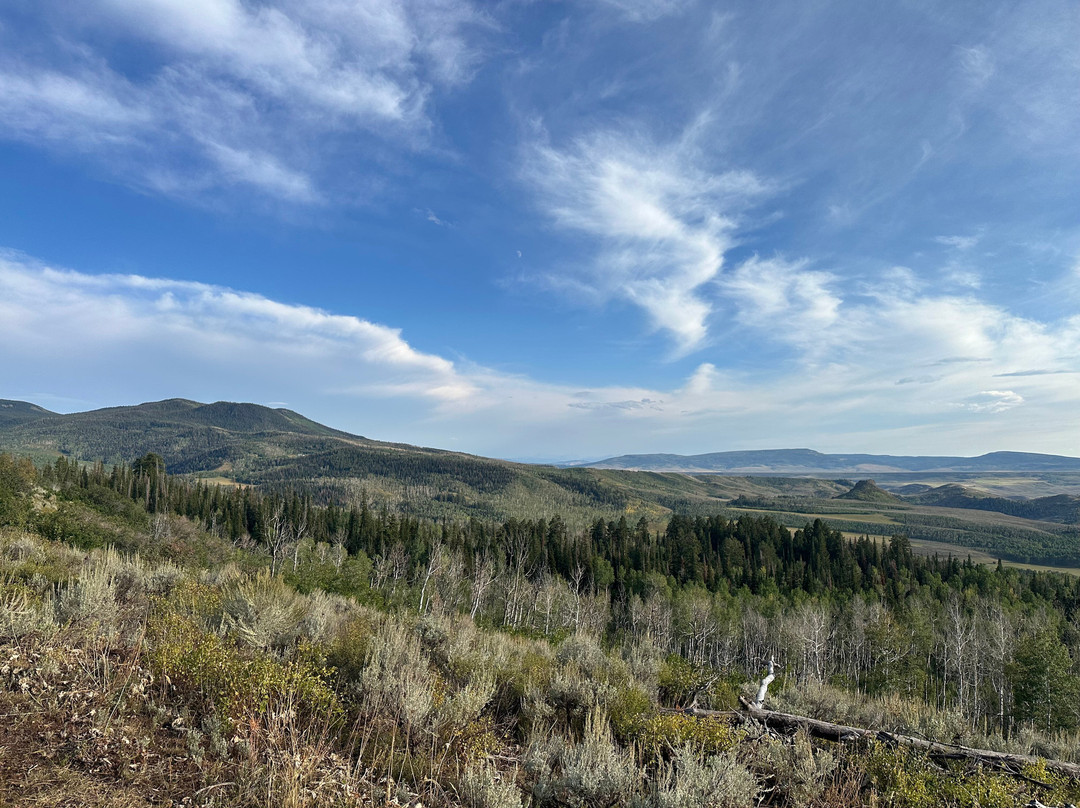 橡树溪小屋主图