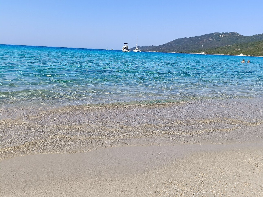 Plage de Portigliolo景点图片