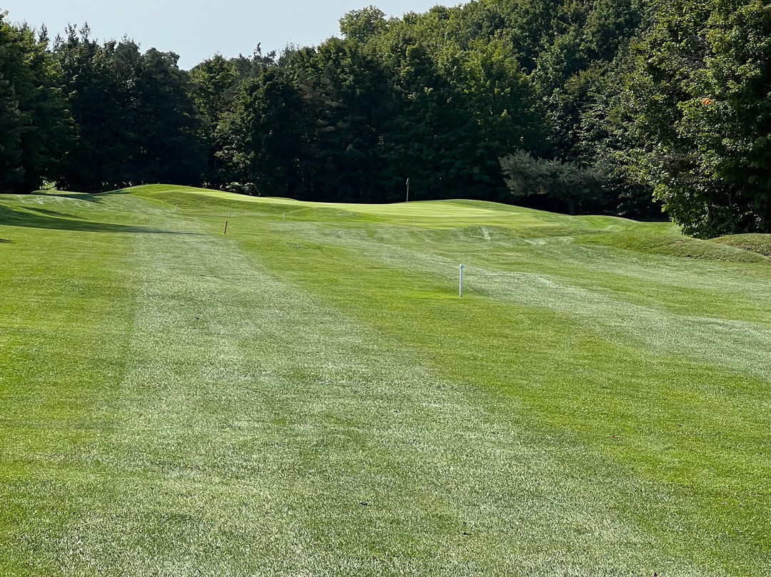 Timber Wolf Golf Club景点图片
