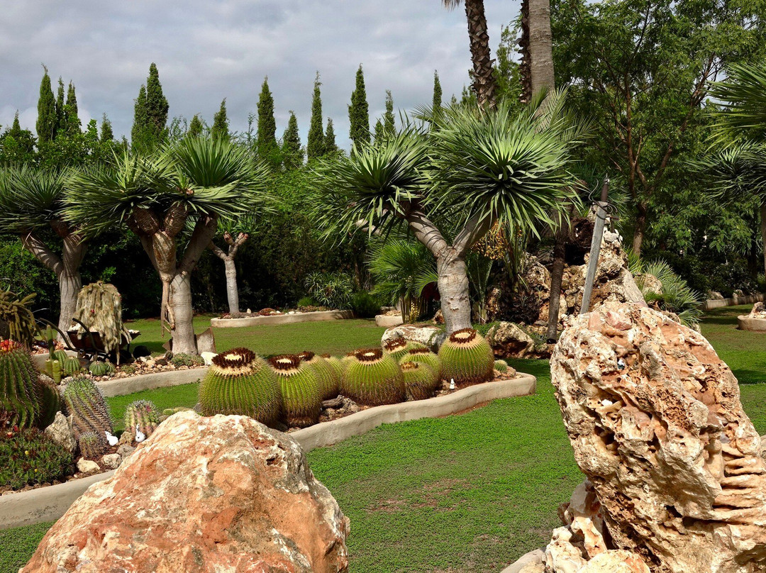 El Sueño (The Dream) Botanical Garden景点图片