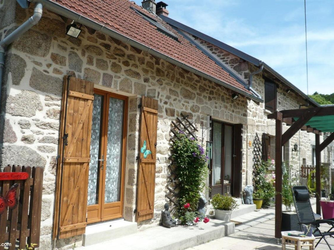 Le Petit Papillon主图