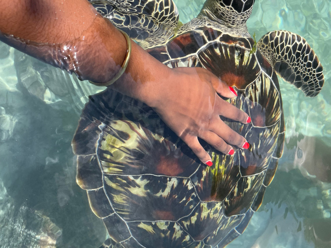 Jamal Zanzibar-石头城必去景点