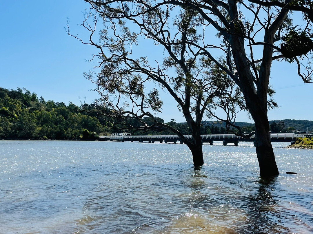 Glenmaggie Bridge-Glenmaggie必去景点
