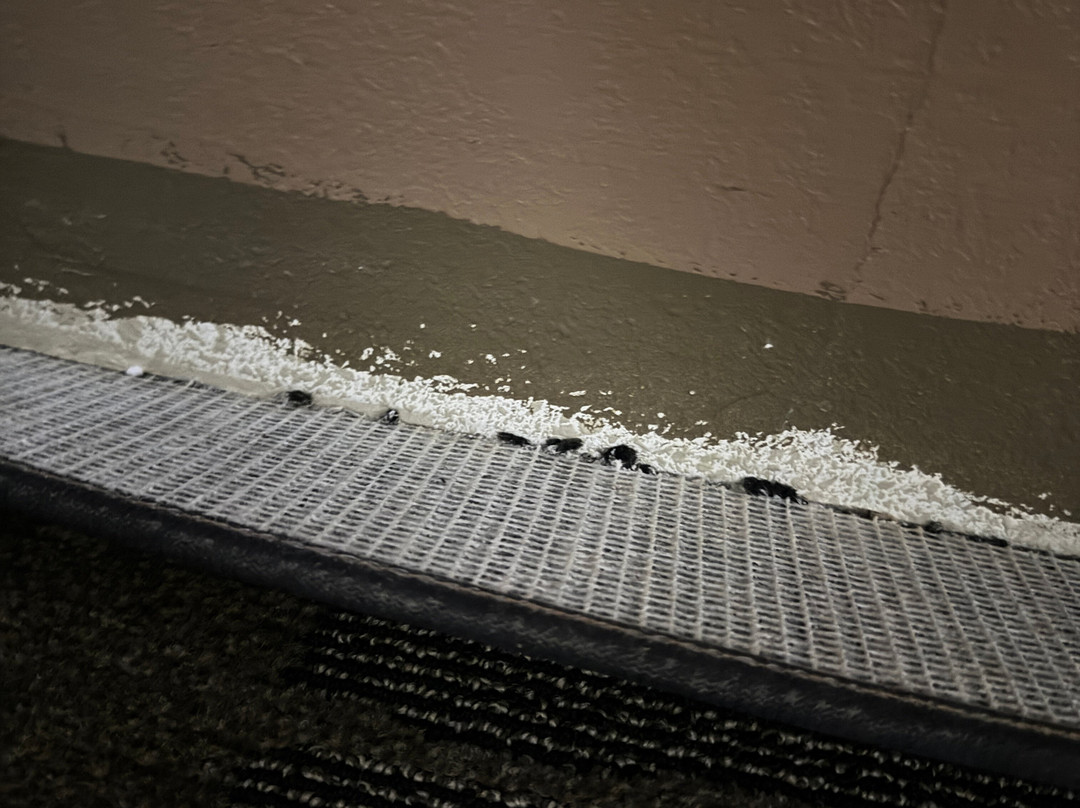 Best Western Plus University Inn主图