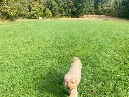 Sandy Ridge Reservation-North Ridgeville必去景点