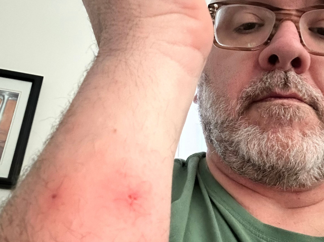 TownePlace Suites by Marriott Kalamazoo主图