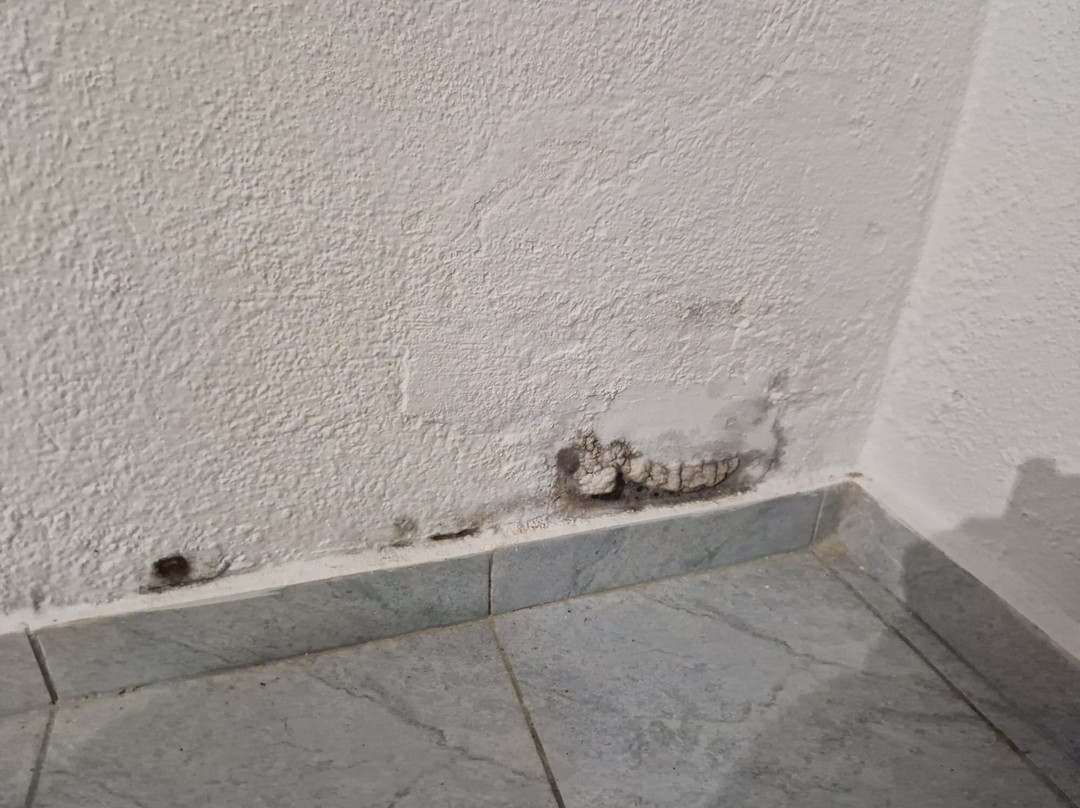 Theo Bungalows Boutique Hotel主图