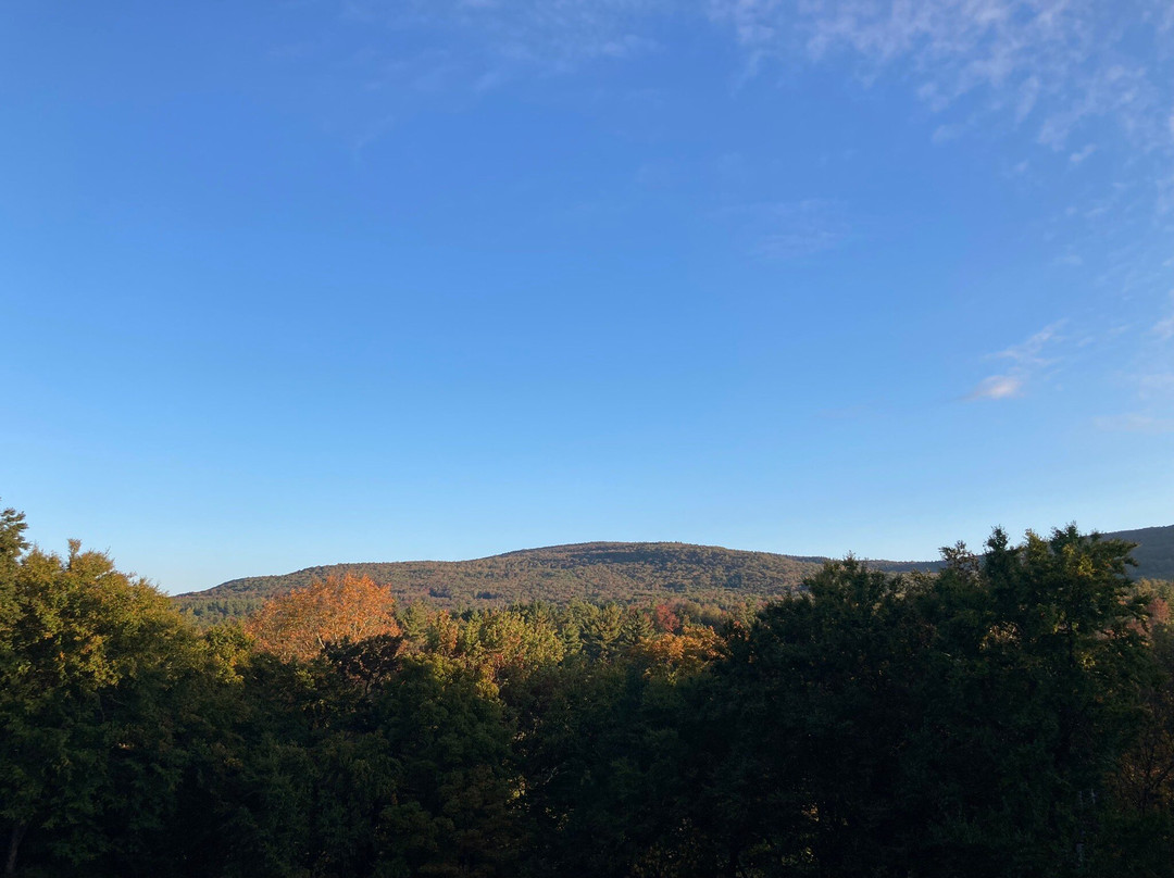 Rosehaven Inn Bed and Breakfast主图