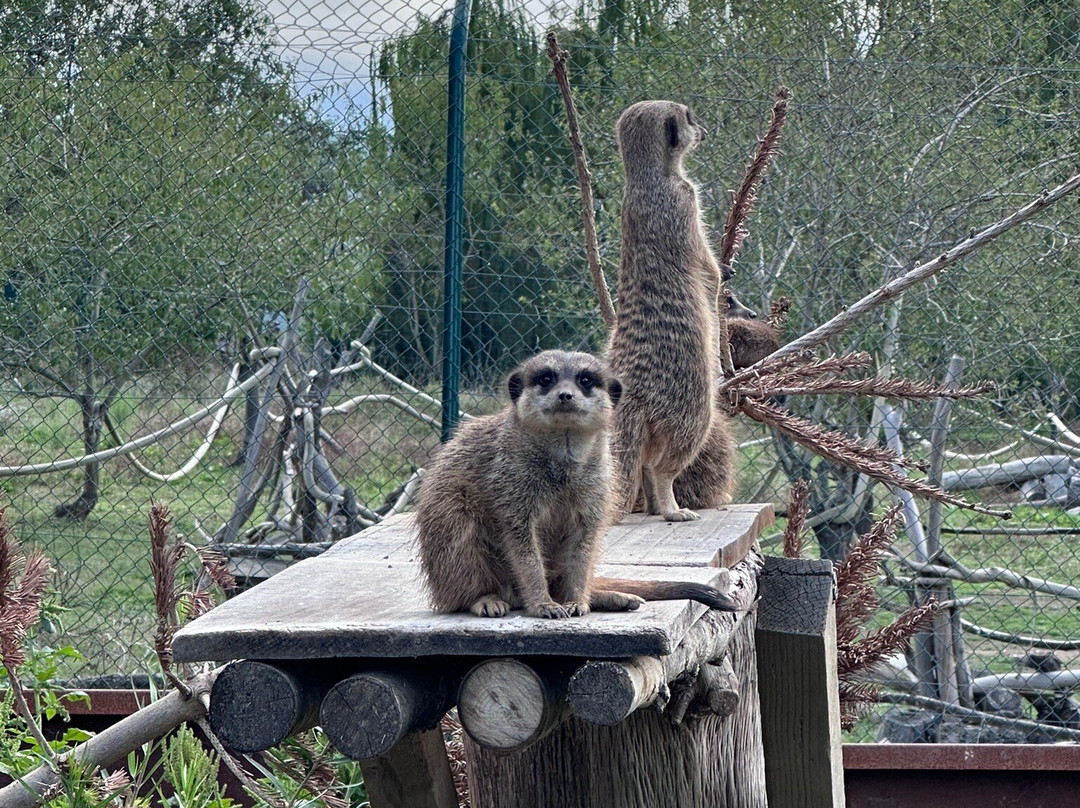 Corsica Zoo-Olmeta di Tuda必去景点