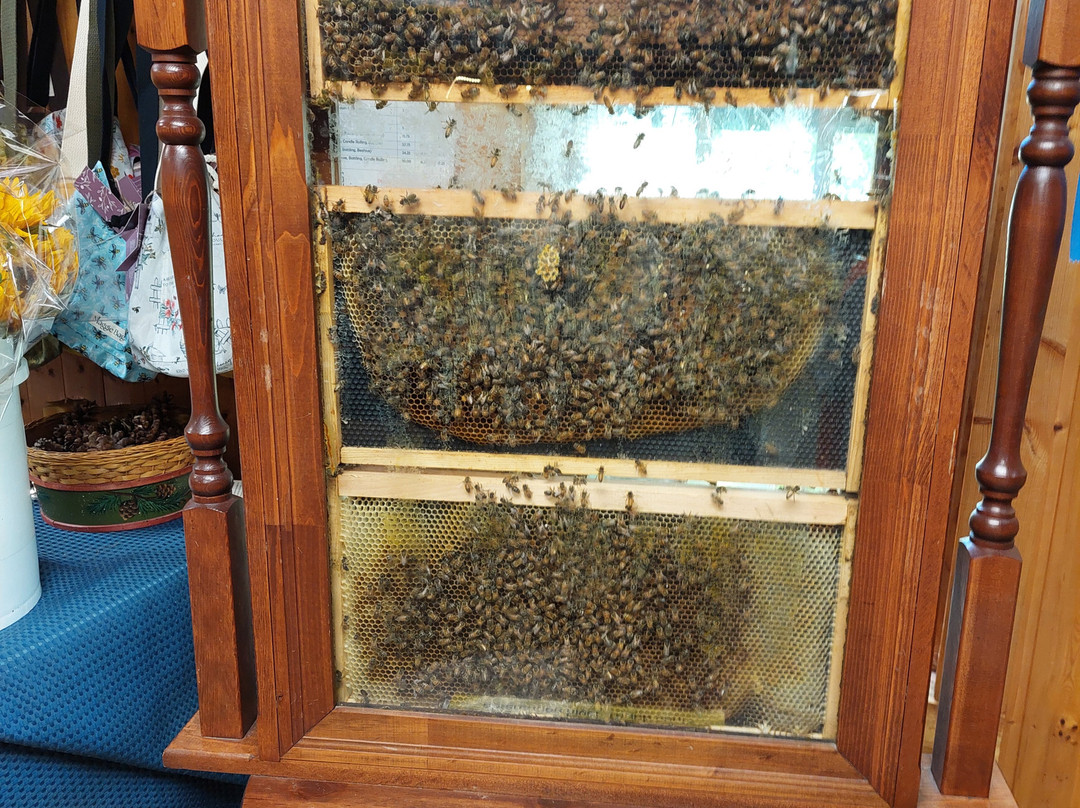 Hunters Honey Farm-Martinsville必去景点