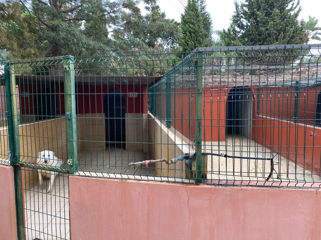L - Wellness Farm