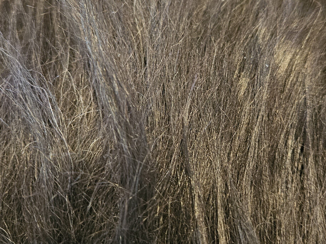 Hús Handanna craft & design shop-埃伊尔斯塔济必去景点