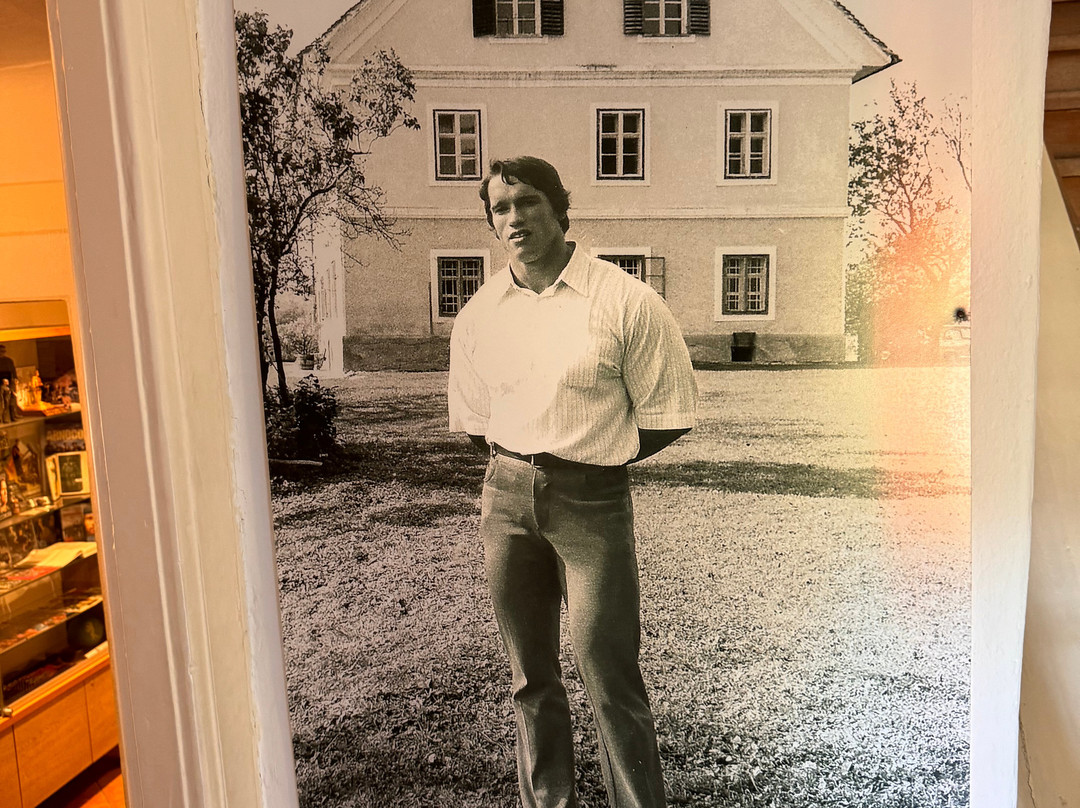 Arnold Schwarzenegger Museum景点图片