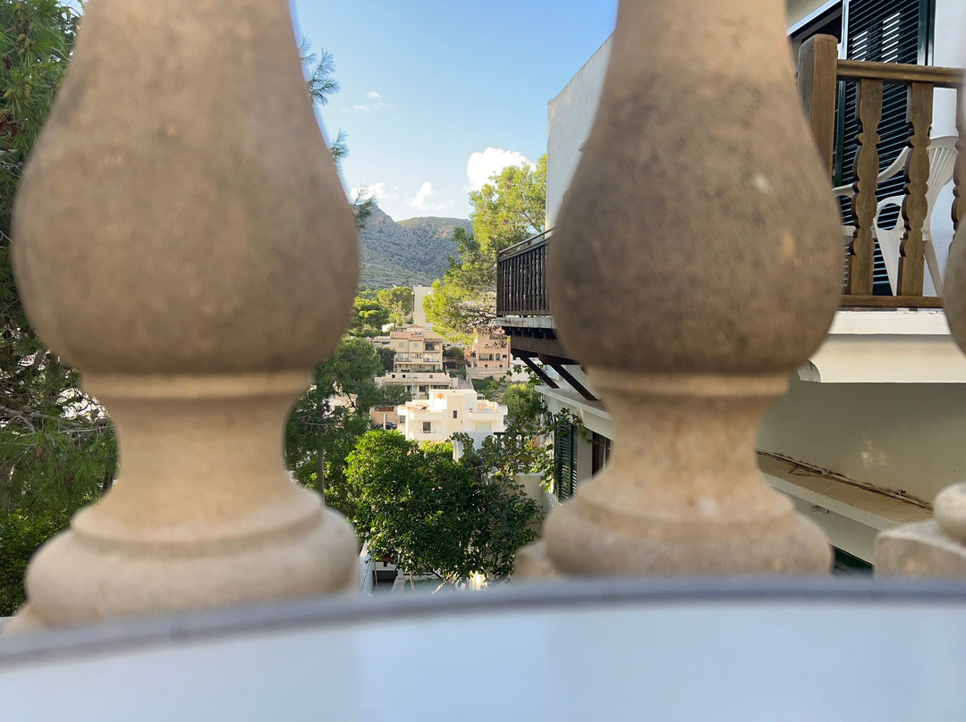 Hostal Los Pinos主图