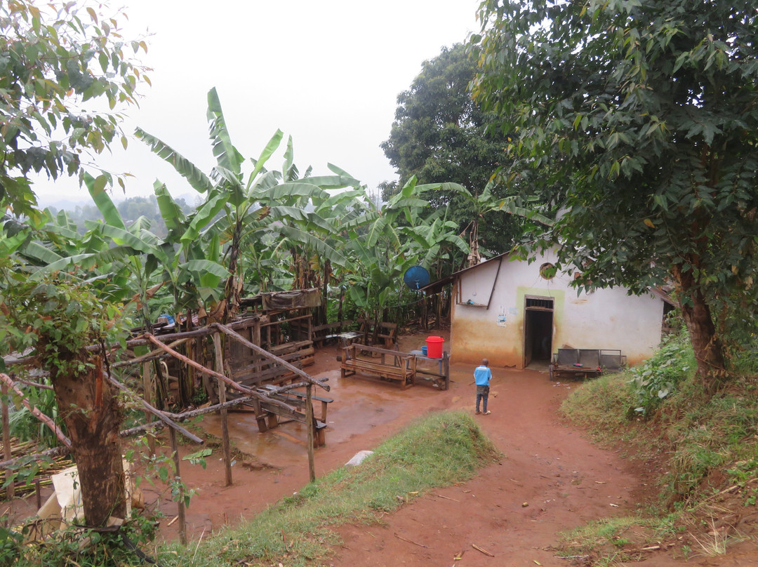 Kwamongo Expeditions-坦噶必去景点