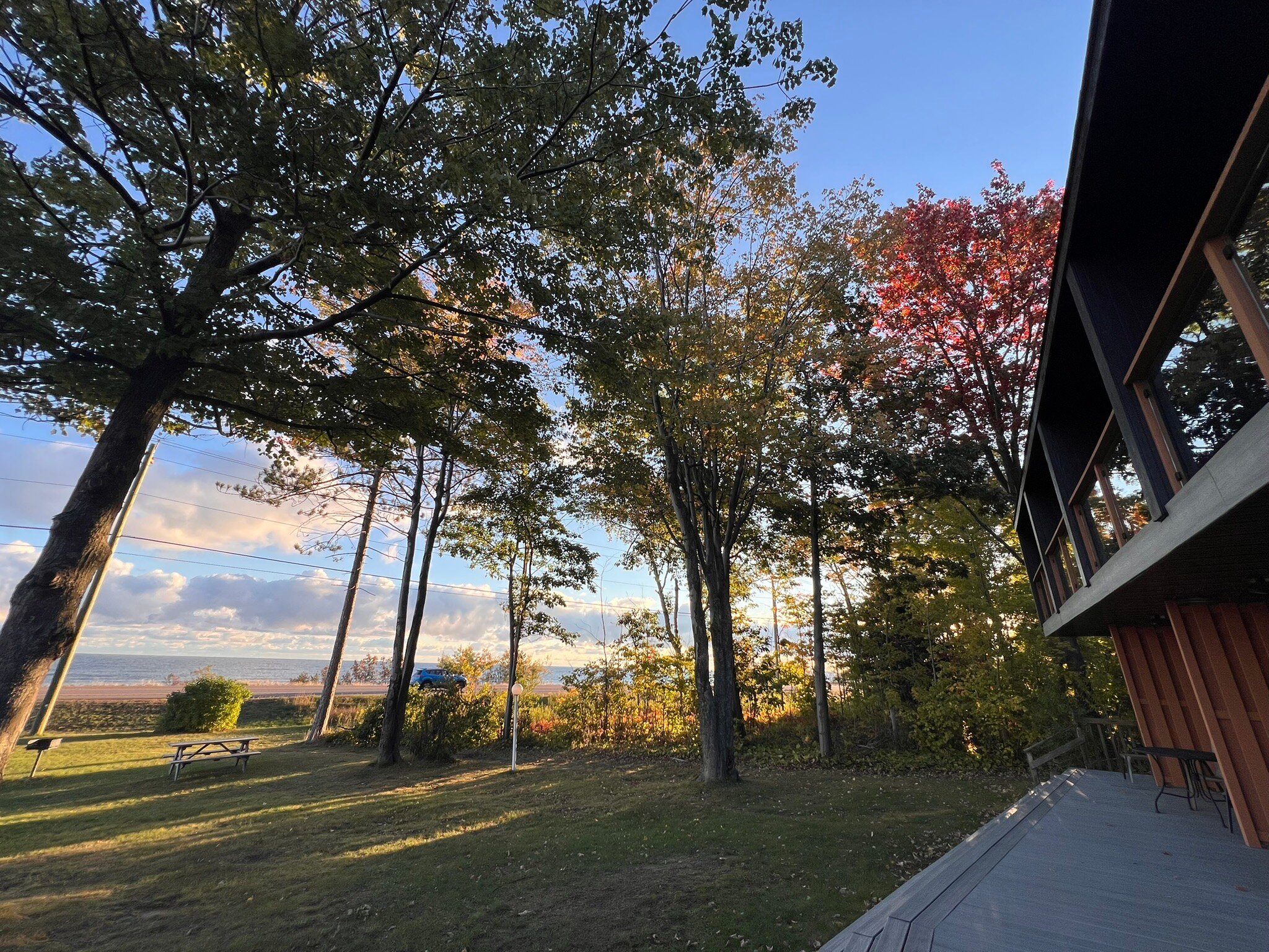 Birchmont Motel-官方