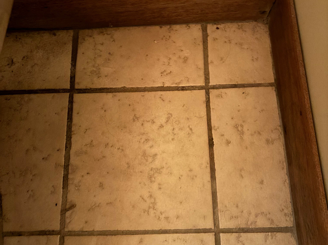 The Cottage B&B主图