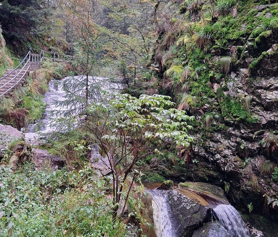 Allerheiligen Wasserfalle景点图片
