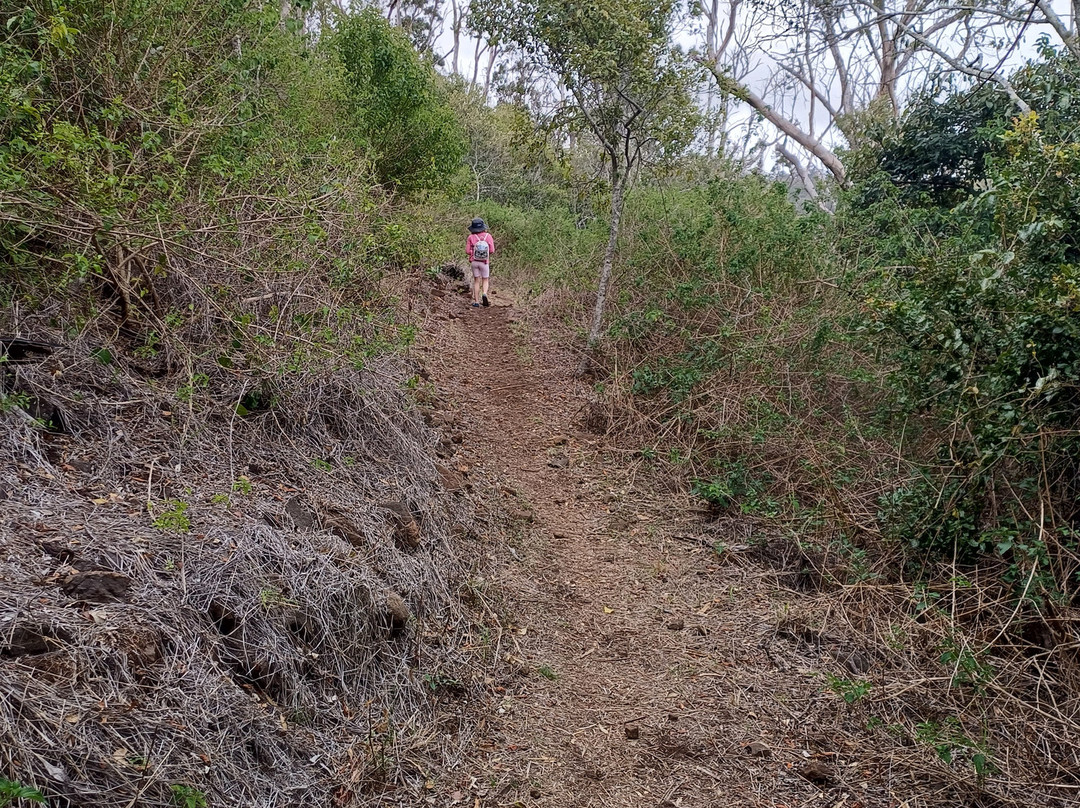 Glen Lomond Park景点图片