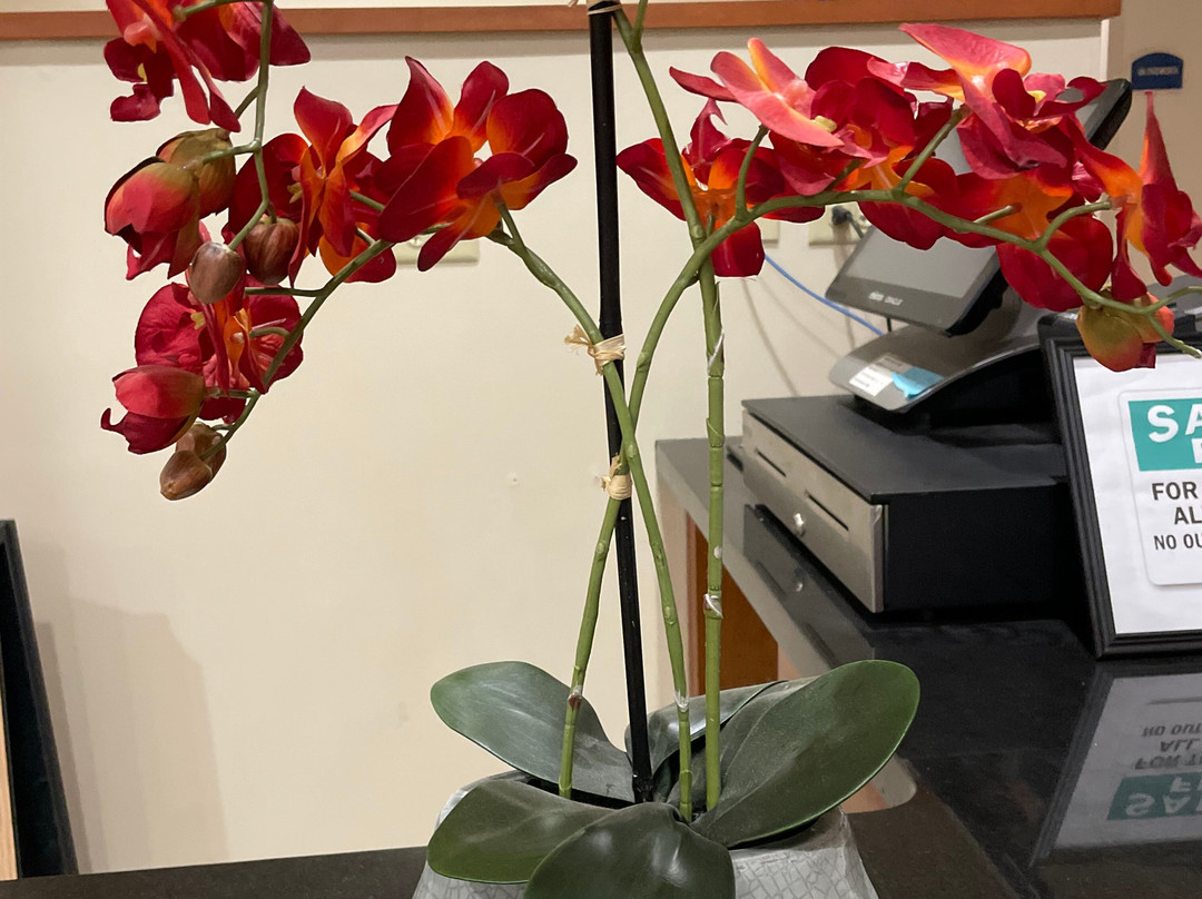 Holiday Inn Aurora North- Naperville By IHG主图