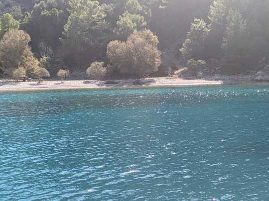 Dejavu Boat-达利安必去景点