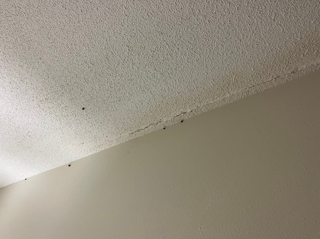 栗山自然保护区-加利纳必去景点