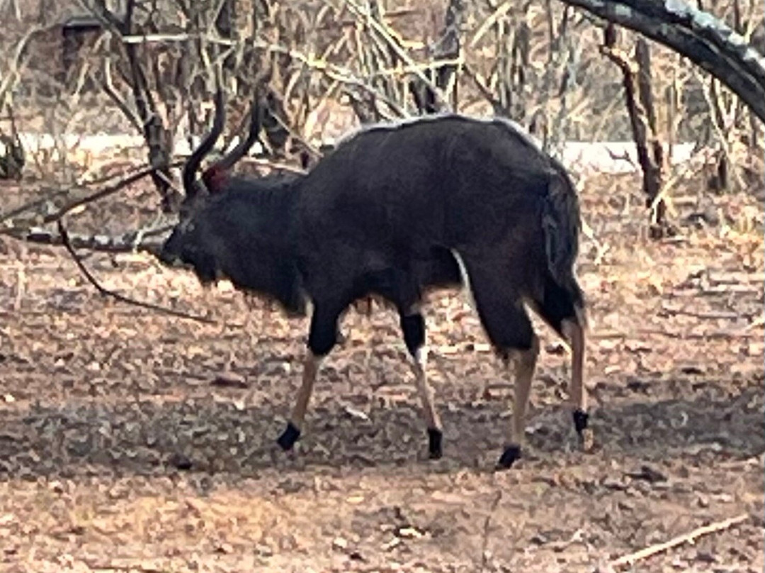 Khaya Umdani Guest Houses主图