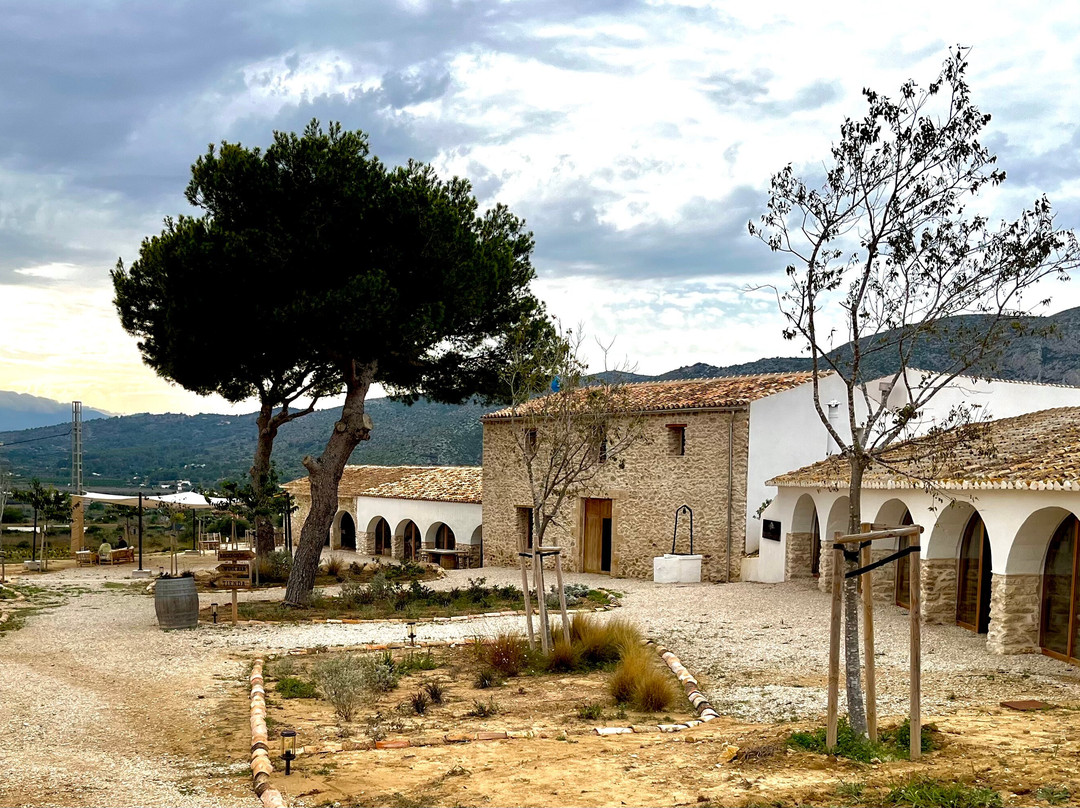 Bodega Montesanco Teulada景点图片