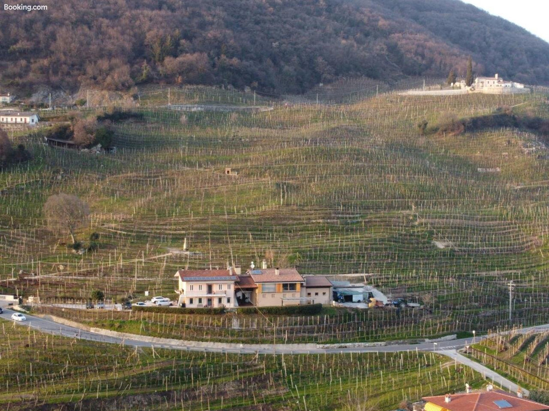 Agriturismo B&B Casa Bortolin主图