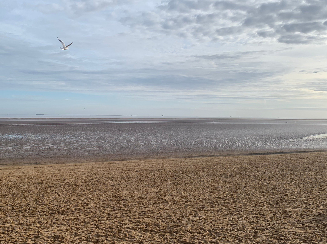 The Burlington Hotel主图