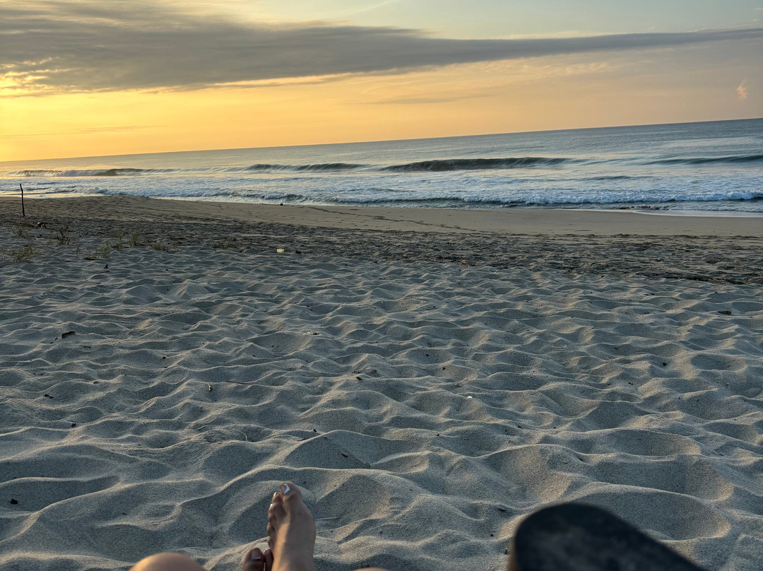 Terrestre Hotel主图