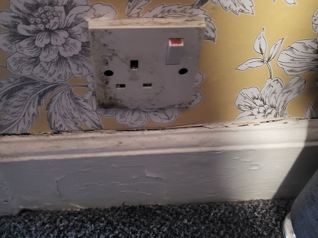 Holland Arms Hotel主图