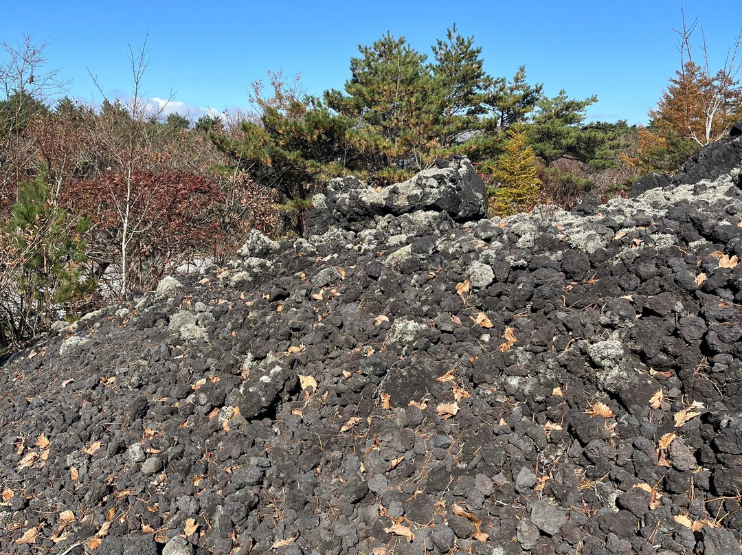 Mt. Iwate Yakehashiri Lava Flow-八幡平市必去景点
