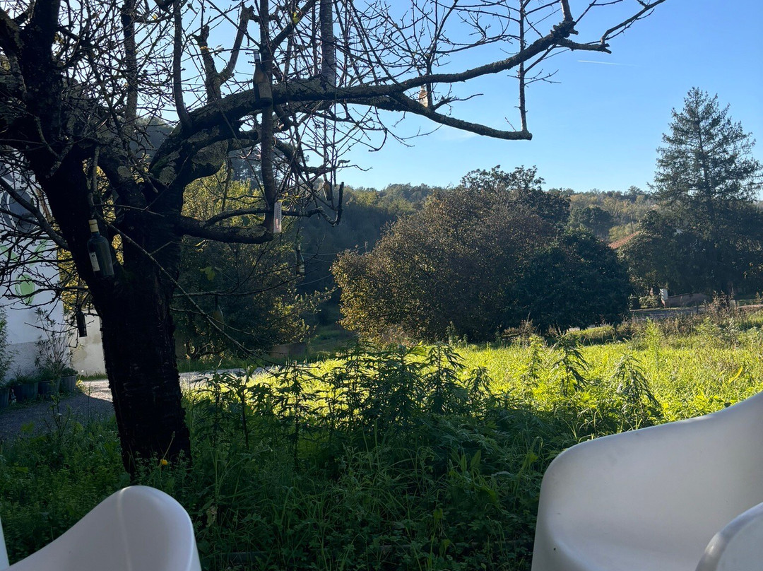 Inserrata Winery Organic Farm-圣米尼亚托必去景点