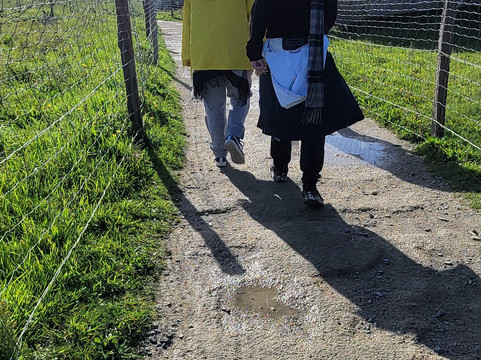 Bayeux Sightseeing Tours-巴约必去景点