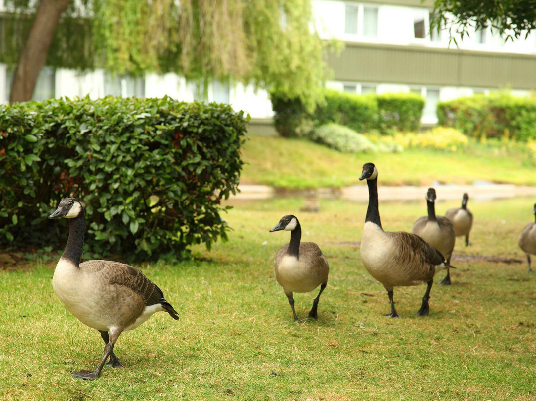 Holiday Inn Bristol - Filton by IHG主图