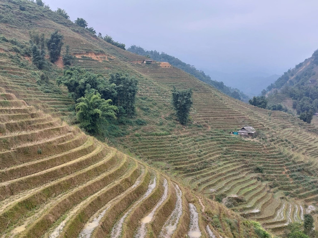 Sapa Big Tree Hmong Homestay主图